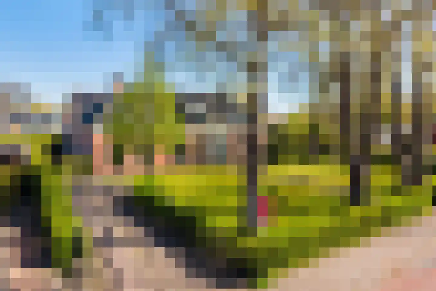 Hearewei 4 Dronryp thumbnail 5