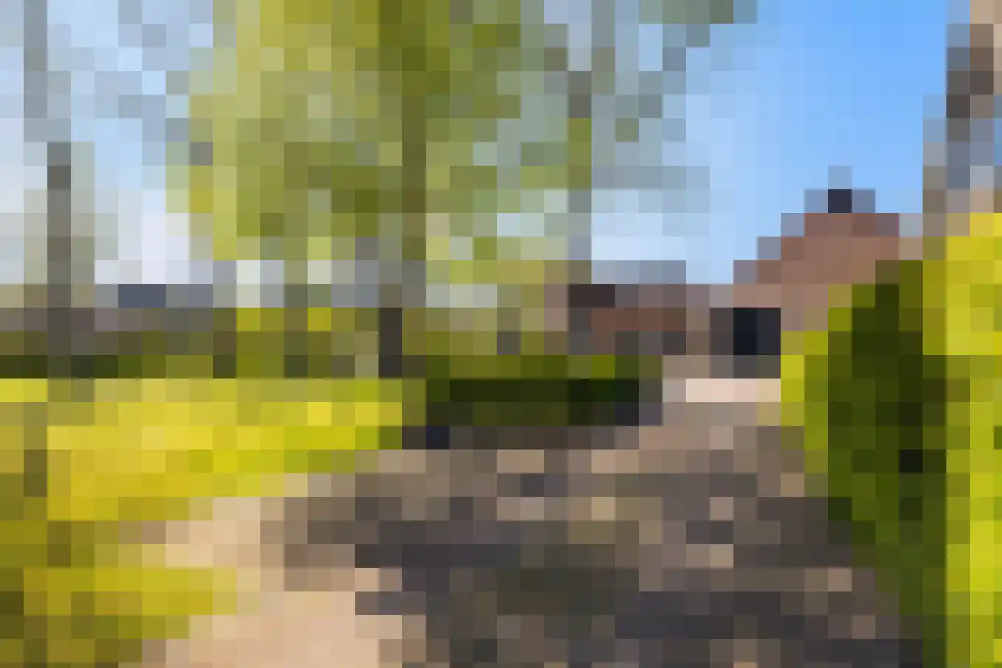 Hearewei 4 Dronryp thumbnail 50