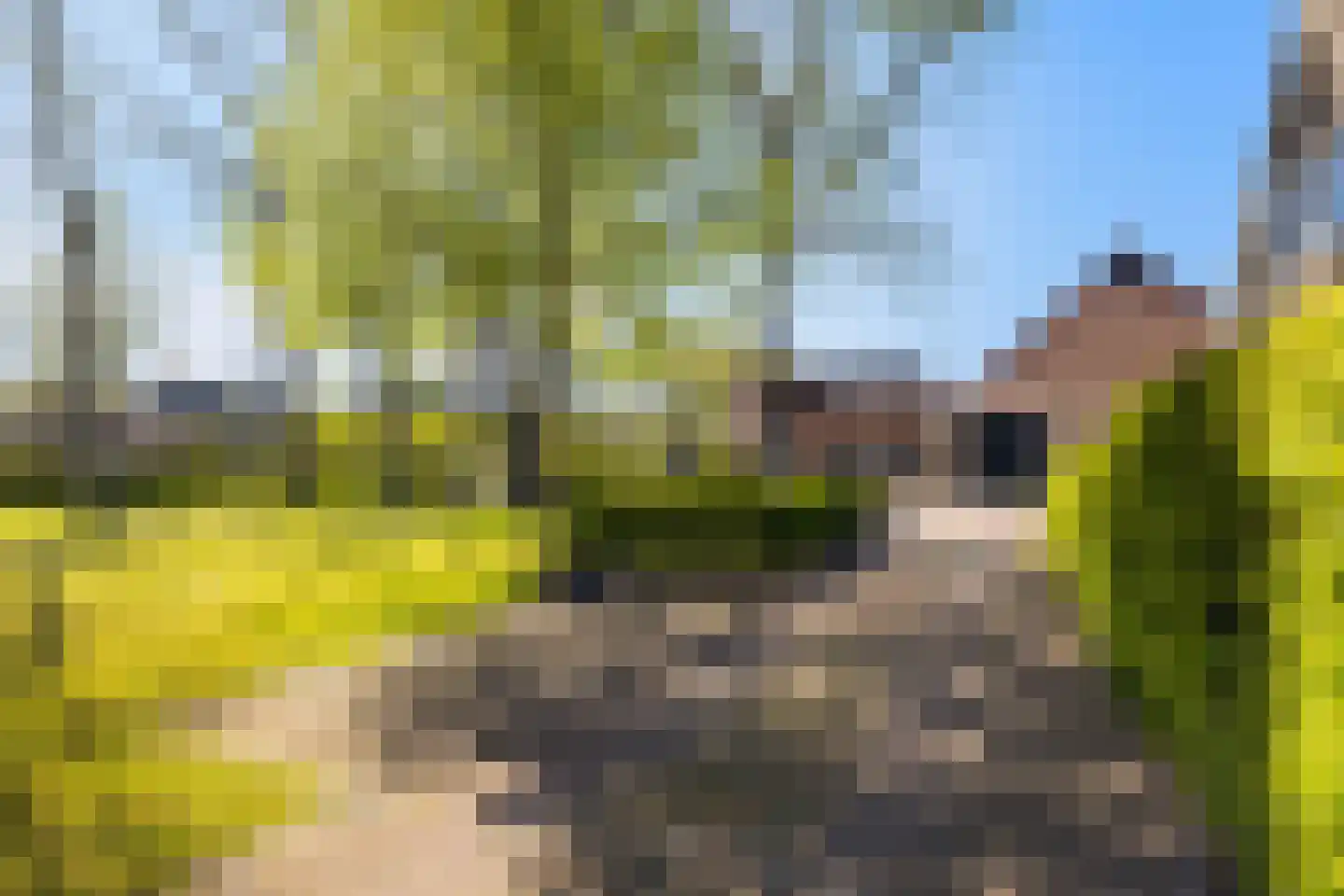 Hearewei 4 Dronryp thumbnail 50
