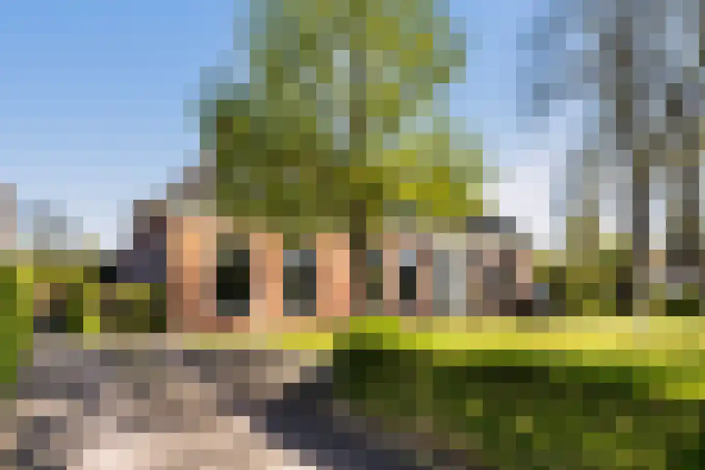 Hearewei 4 Dronryp thumbnail 51