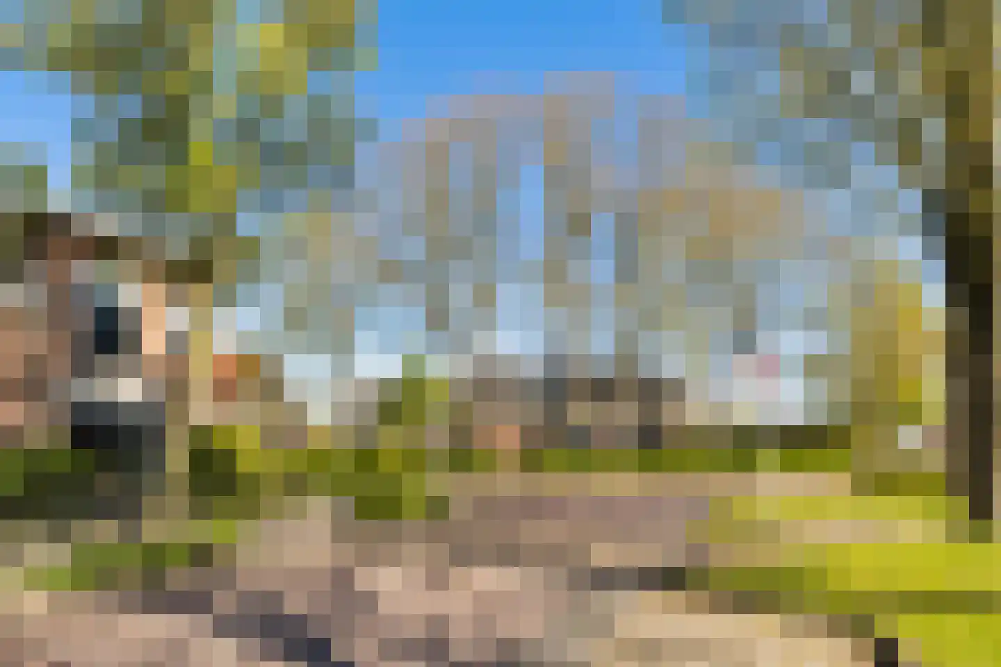 Hearewei 4 Dronryp thumbnail 52