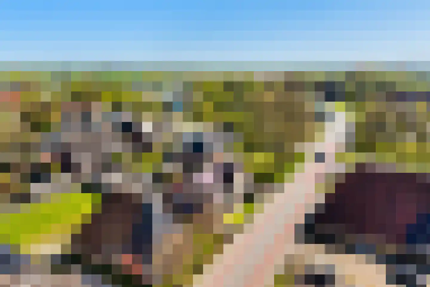Hearewei 4 Dronryp thumbnail 55