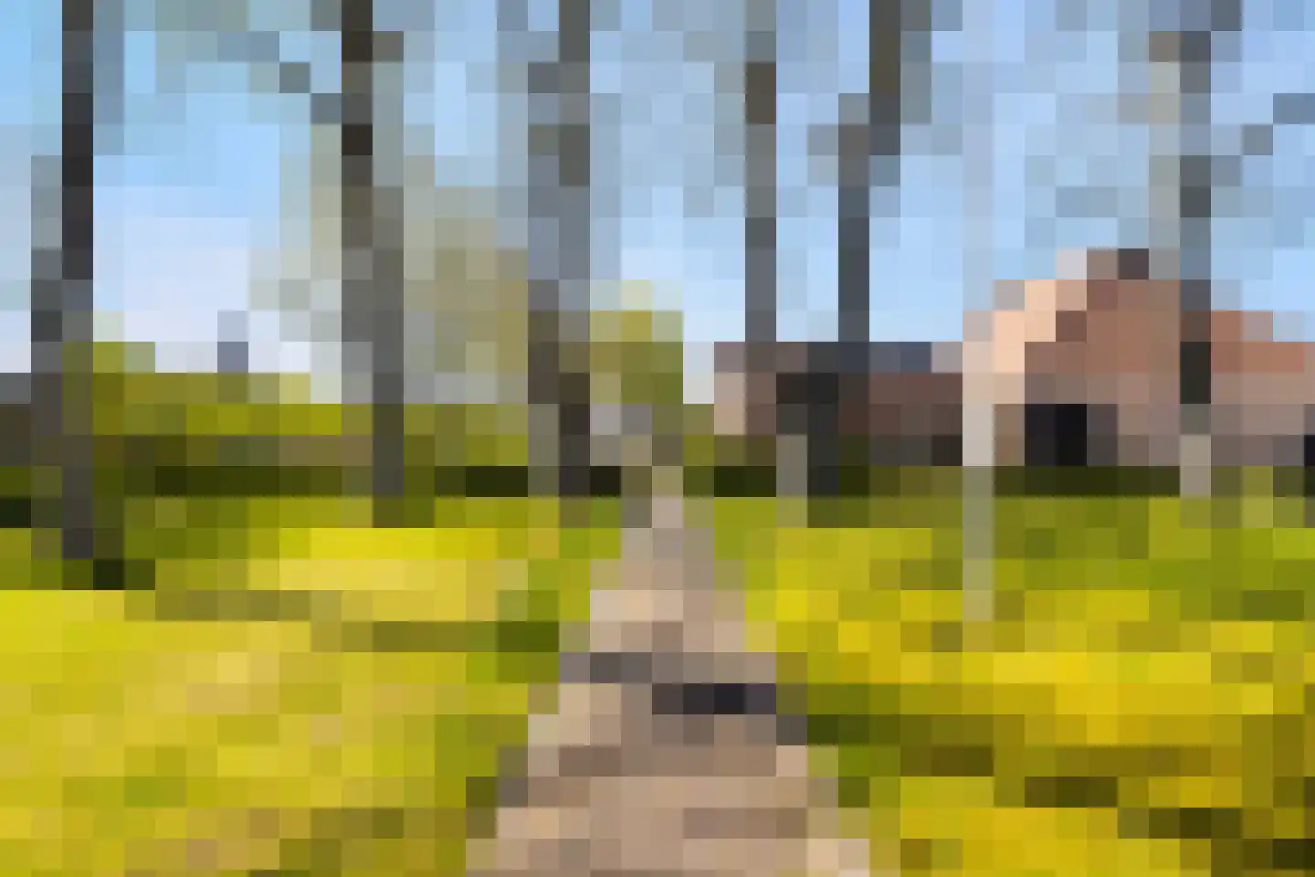 Hearewei 4 Dronryp thumbnail 7