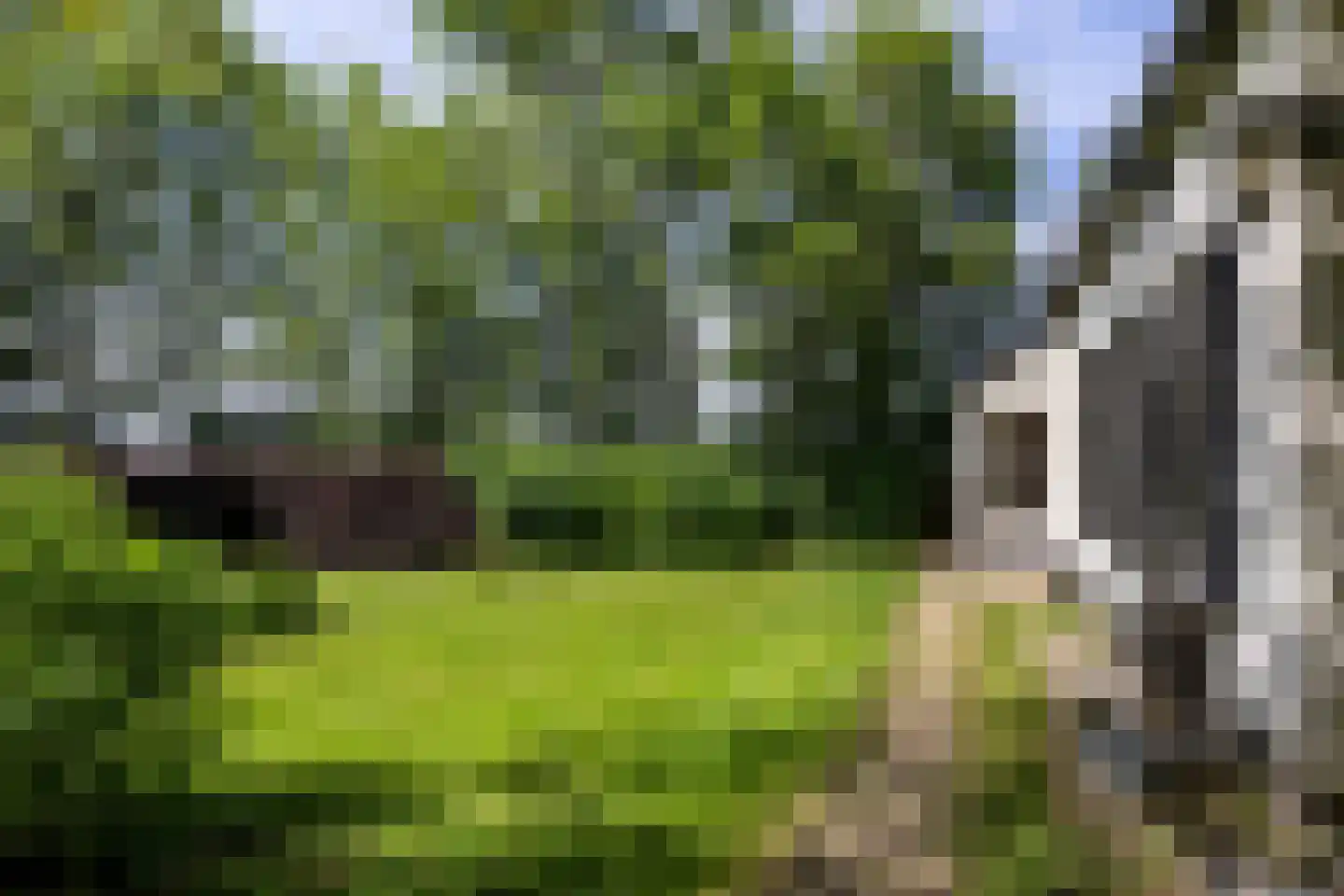 Hearewei 4 Pietersbierum thumbnail 10