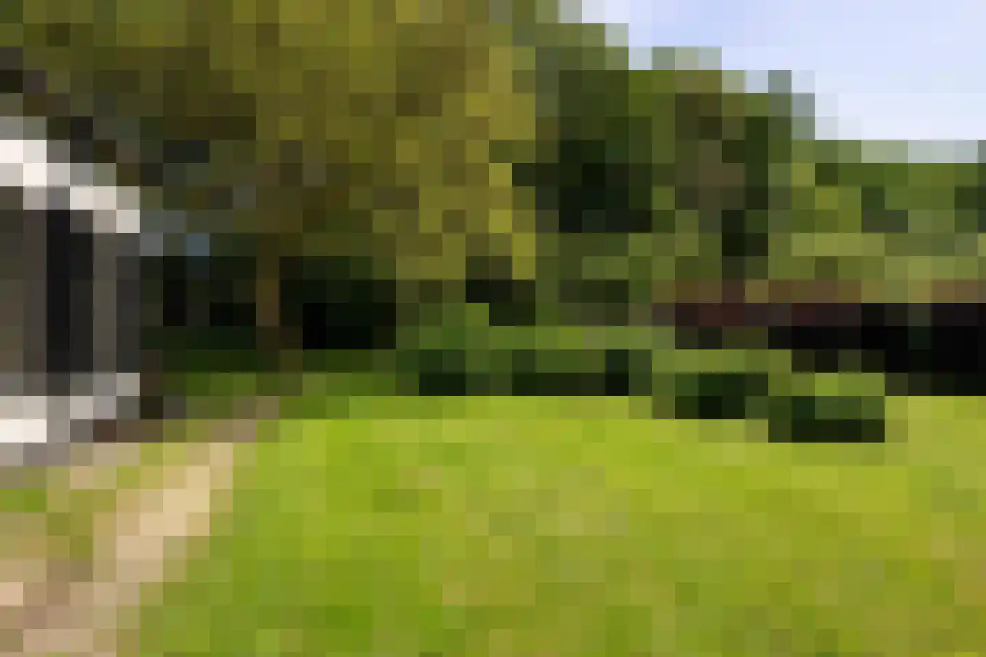 Hearewei 4 Pietersbierum thumbnail 11