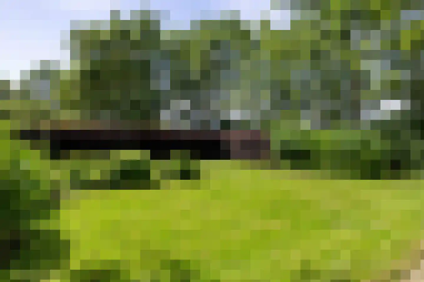 Hearewei 4 Pietersbierum thumbnail 12