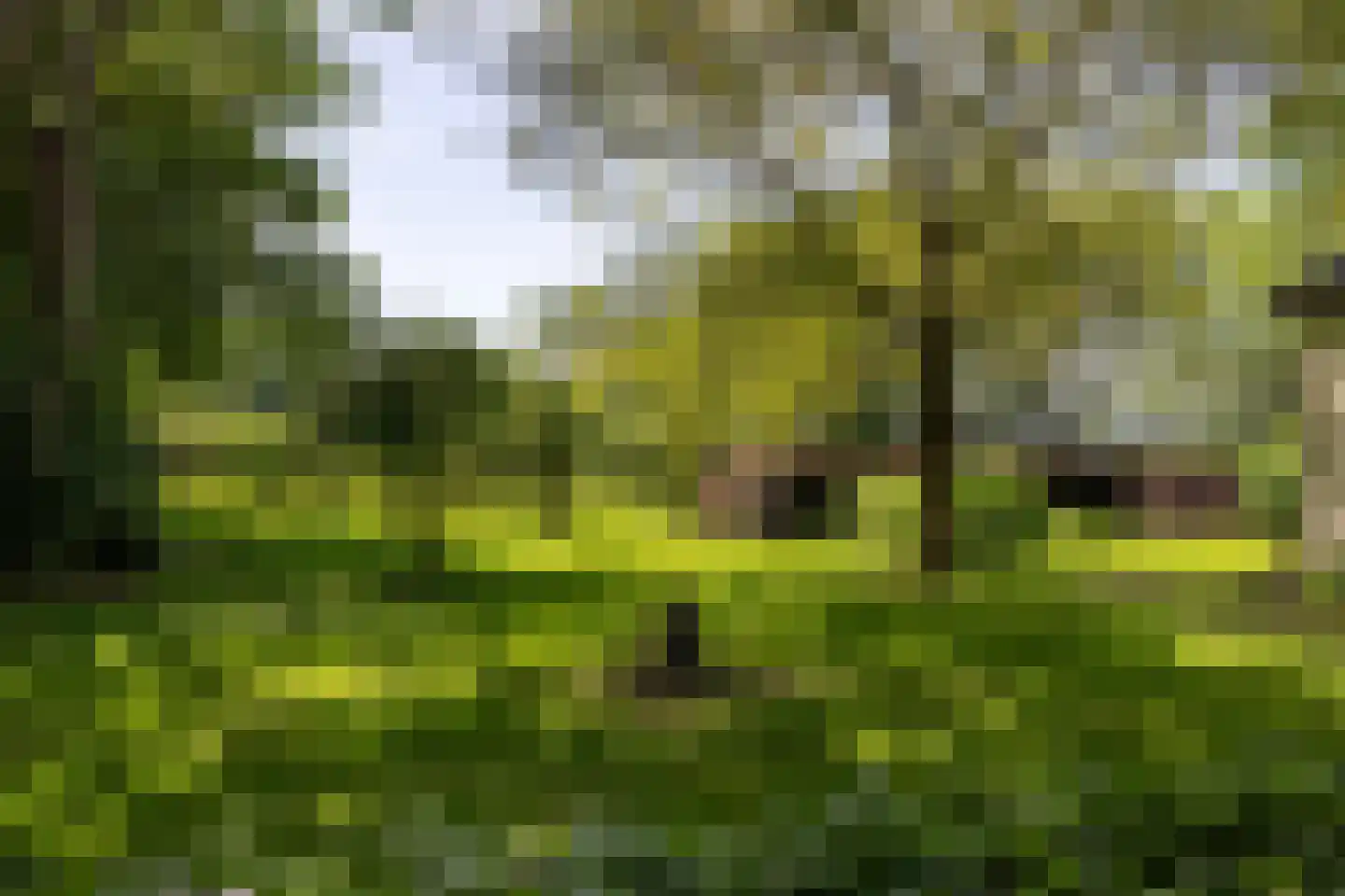 Hearewei 4 Pietersbierum thumbnail 13