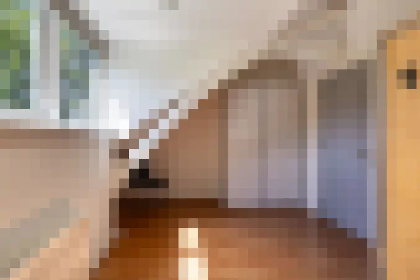Hearewei 4 Pietersbierum thumbnail 45