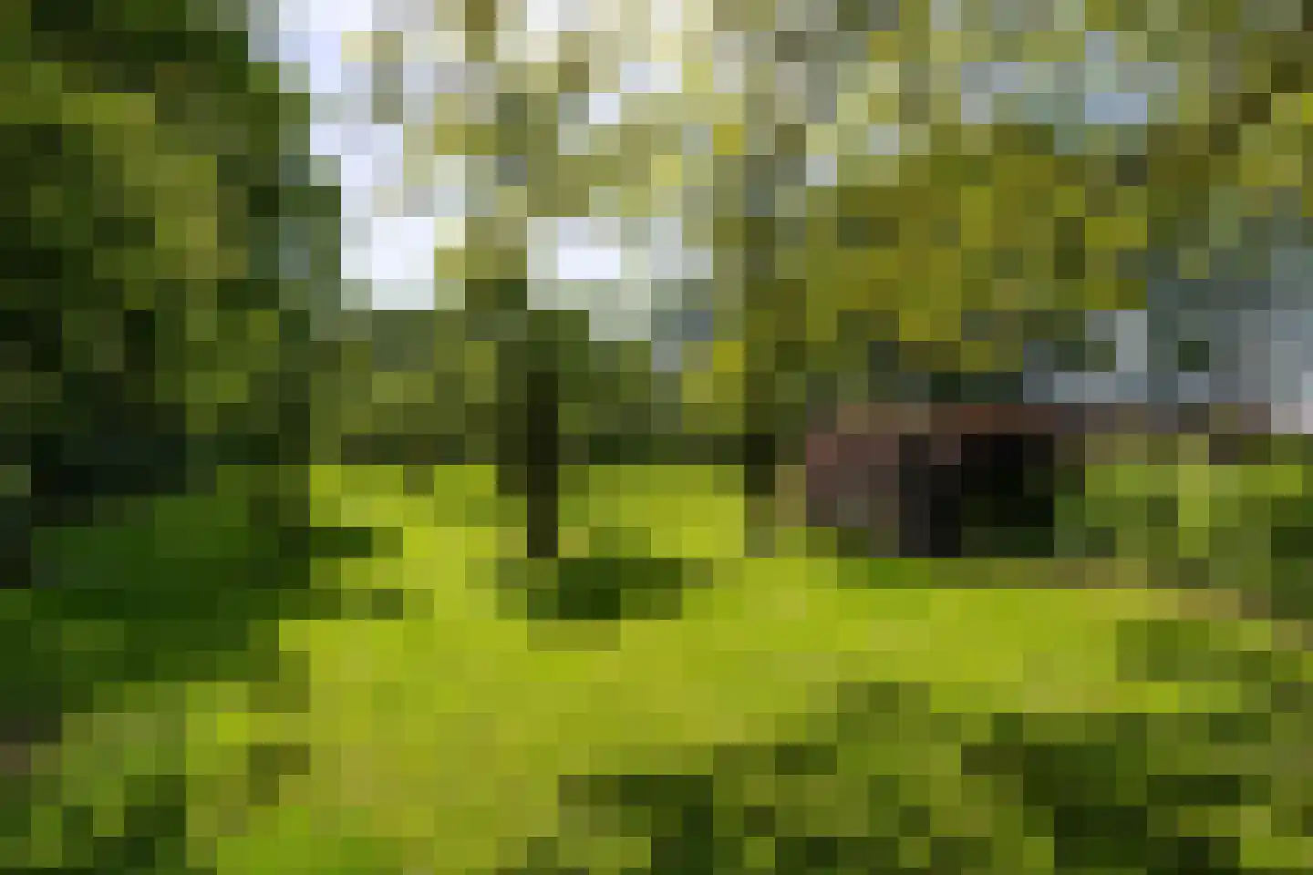 Hearewei 4 Pietersbierum thumbnail 5
