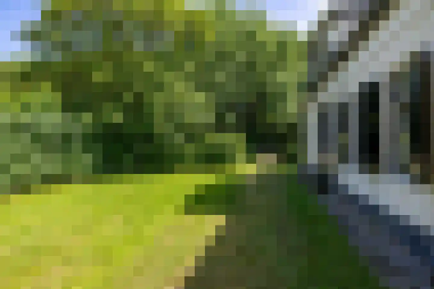 Hearewei 4 Pietersbierum thumbnail 53