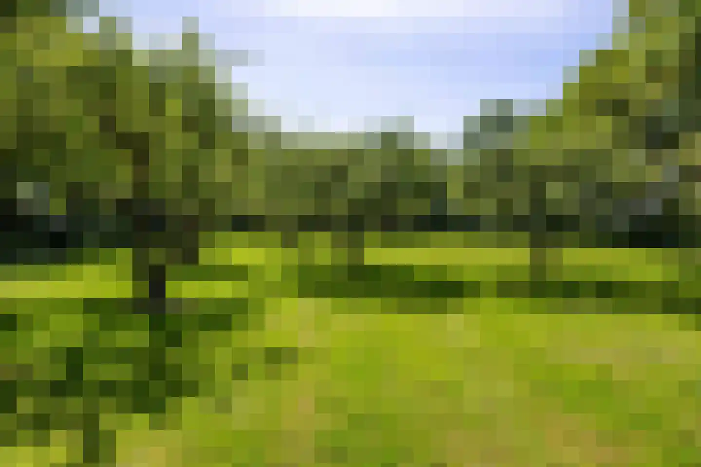 Hearewei 4 Pietersbierum thumbnail 55