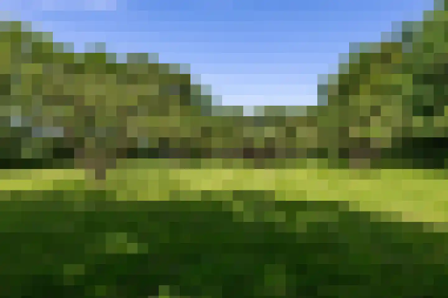 Hearewei 4 Pietersbierum thumbnail 56
