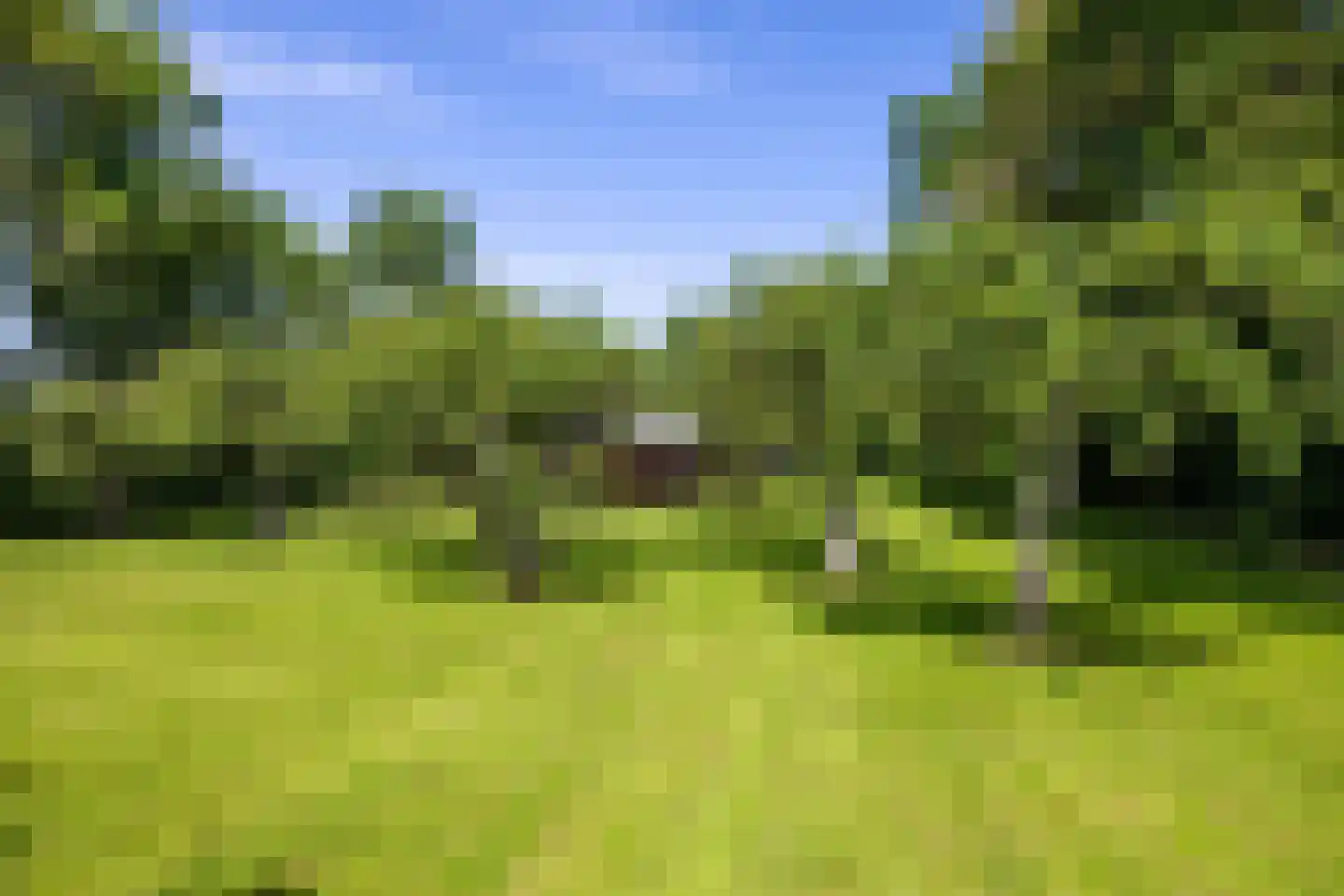 Hearewei 4 Pietersbierum thumbnail 57