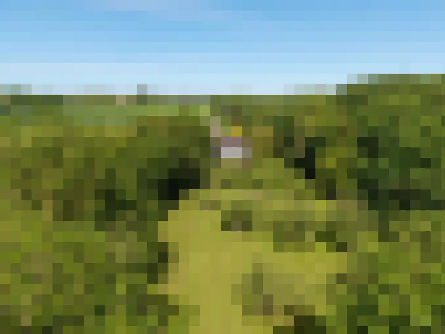 Hearewei 4 Pietersbierum thumbnail 59