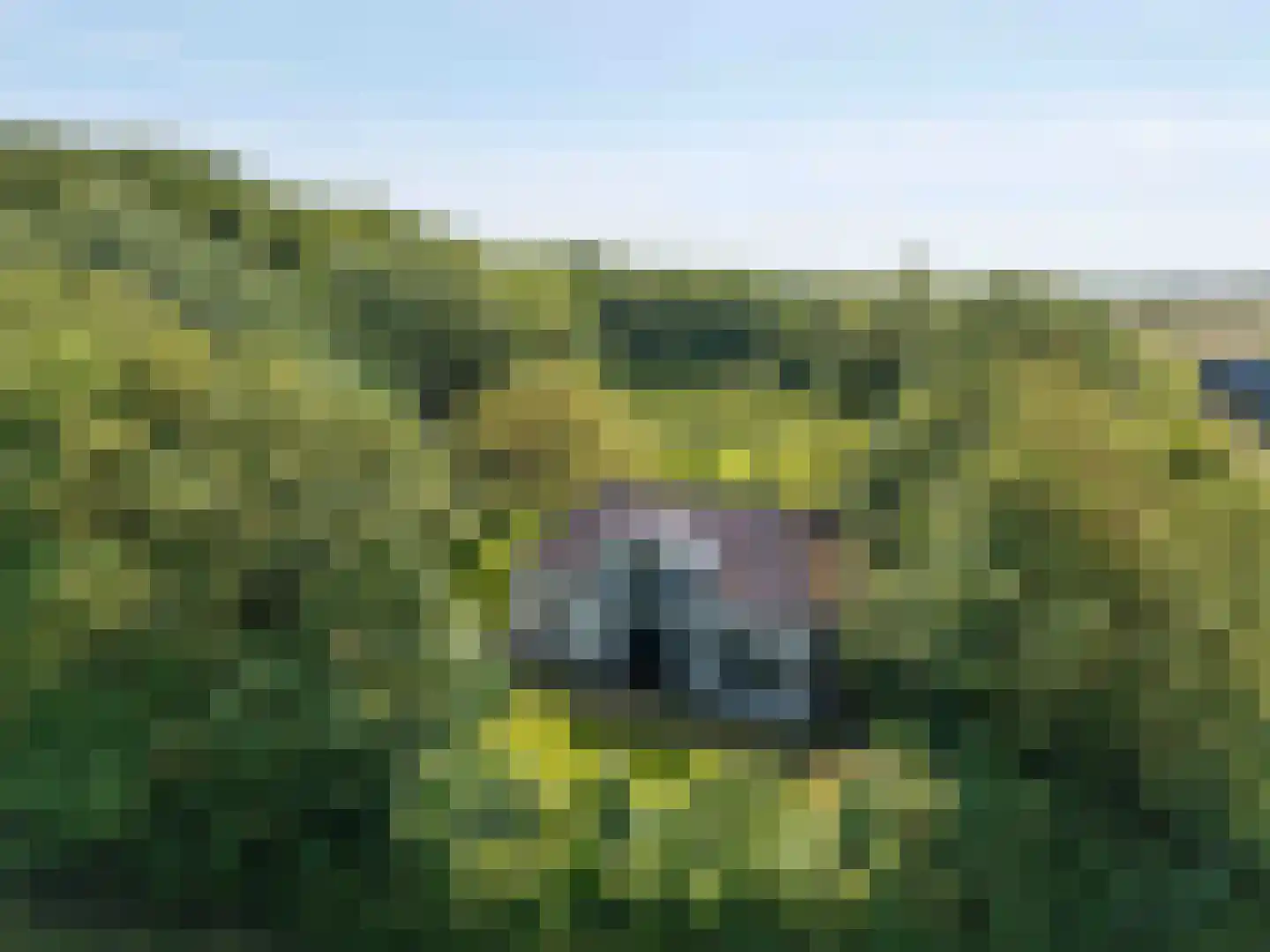 Hearewei 4 Pietersbierum thumbnail 60