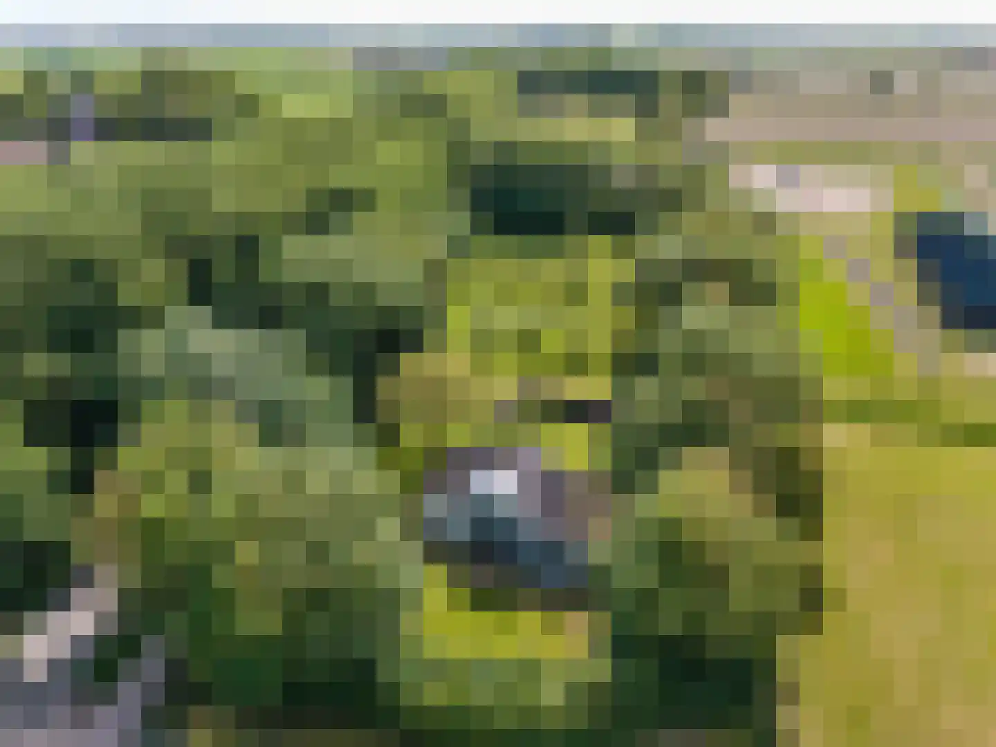 Hearewei 4 Pietersbierum thumbnail 7