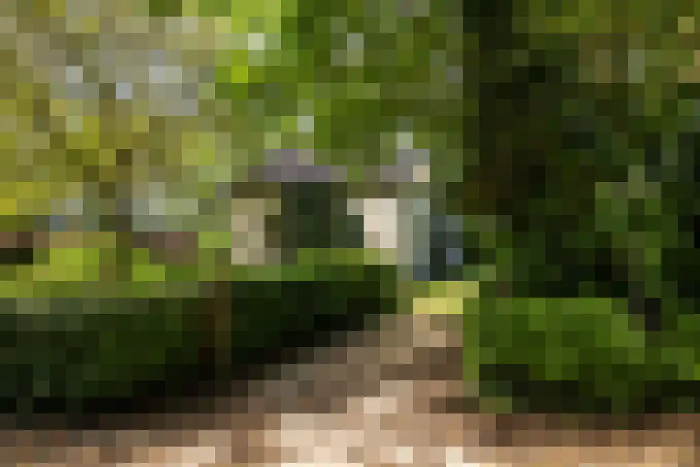 Hearewei 4 Pietersbierum thumbnail 8