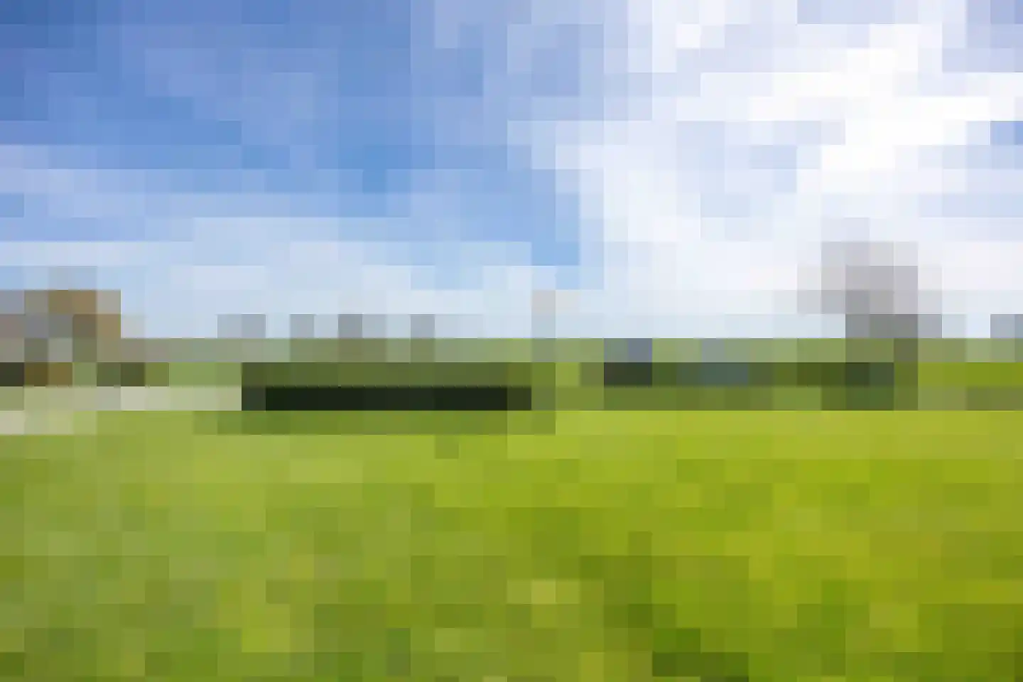 Hearewei 41 Tzummarum thumbnail 15