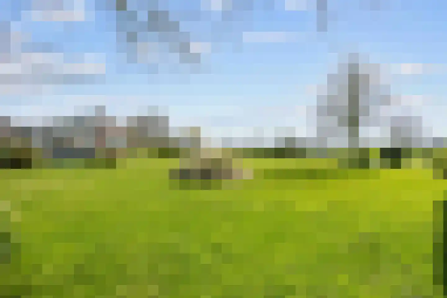 Hearewei 41 Tzummarum thumbnail 16
