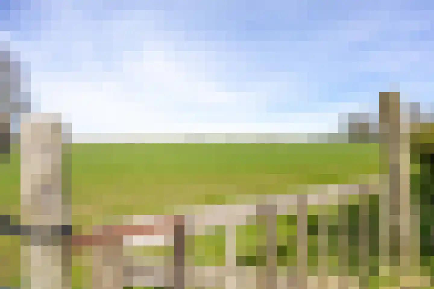 Hearewei 41 Tzummarum thumbnail 19