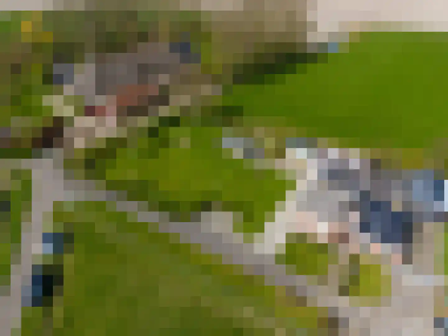 Hearewei 41 Tzummarum thumbnail 46