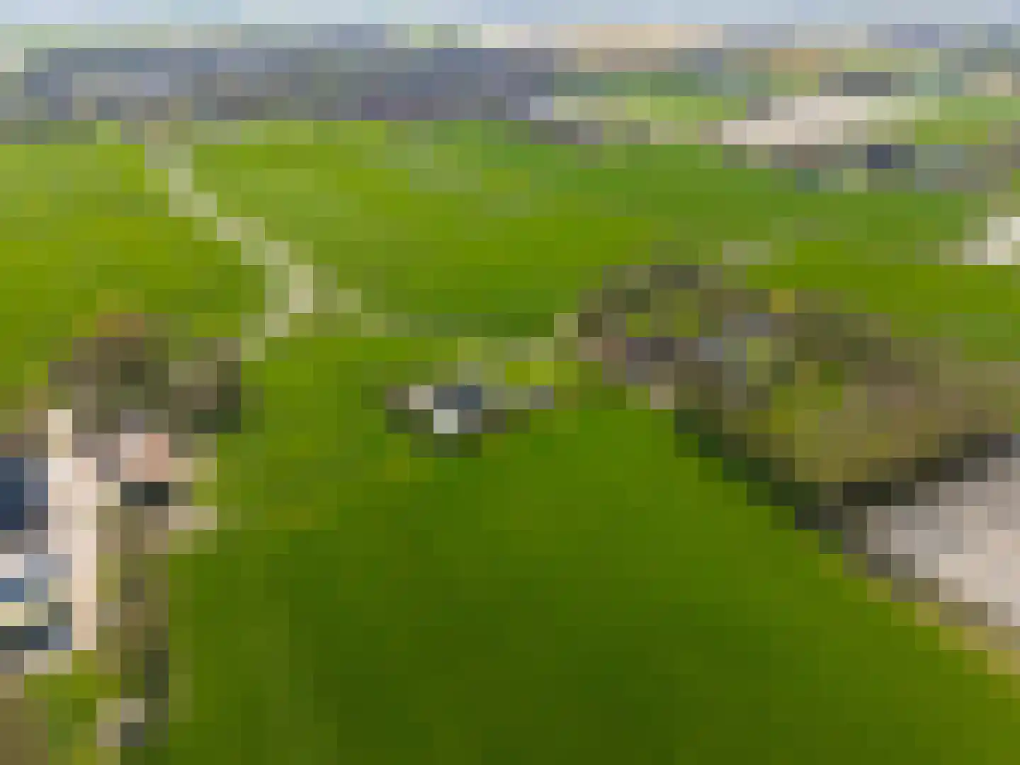 Hearewei 41 Tzummarum thumbnail 7