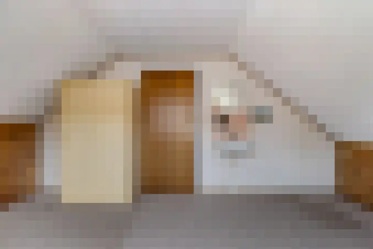 Hearewei 45 Workum thumbnail 37