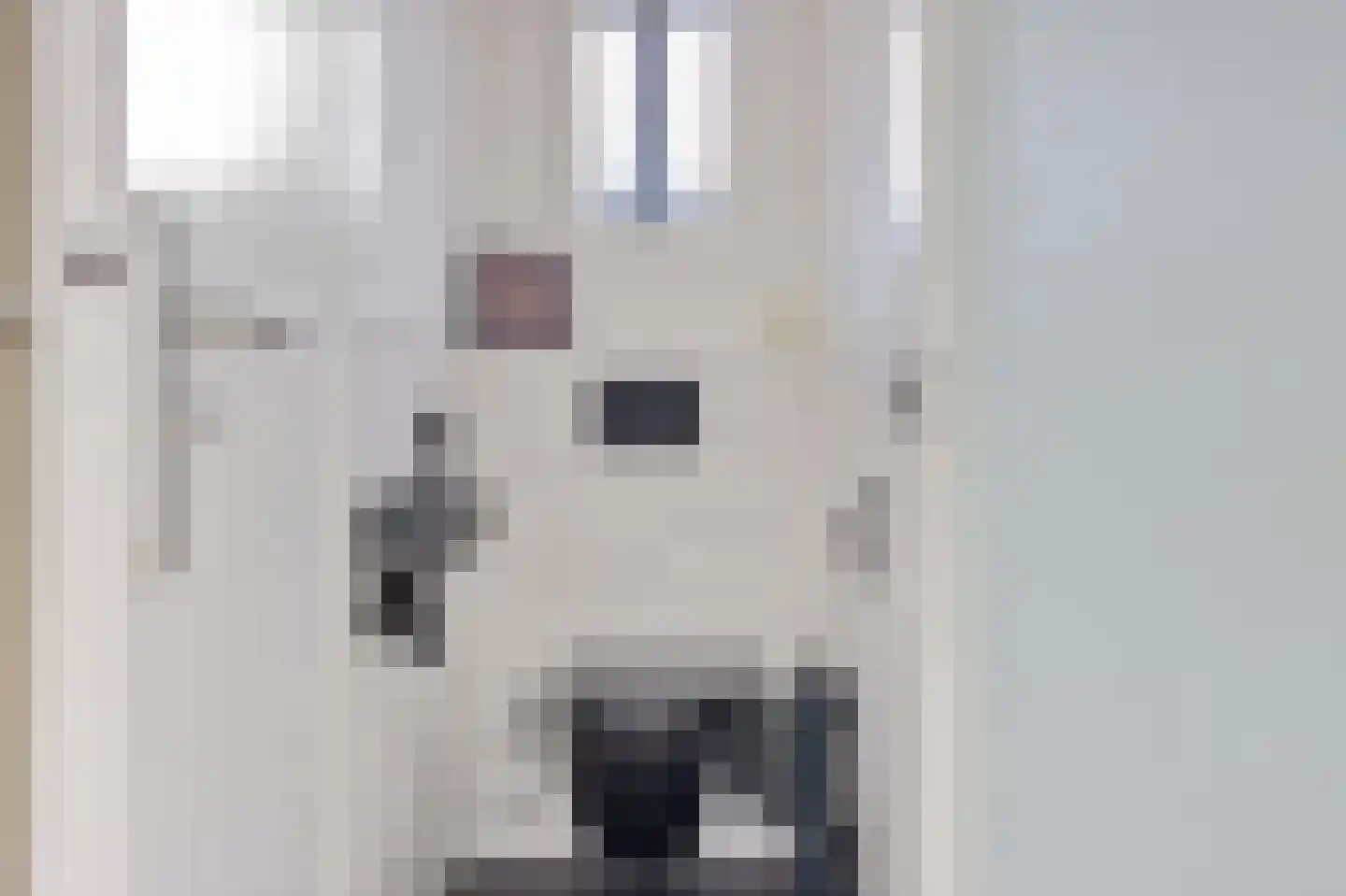 Hearewei 51 Workum thumbnail 11