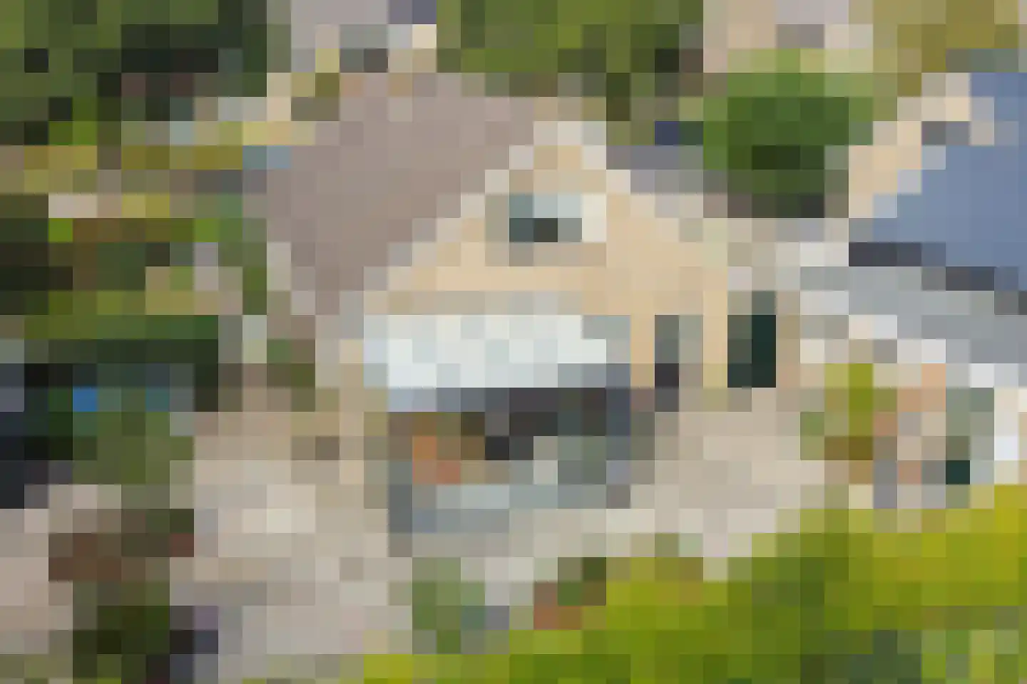 Hearewei 51 Workum thumbnail 4