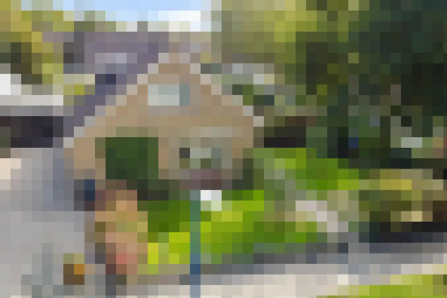 Hearewei 51 Workum thumbnail 40