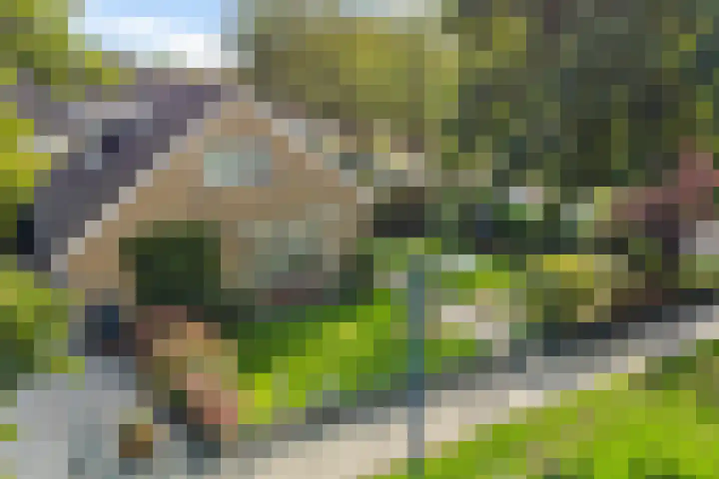 Hearewei 51 Workum thumbnail 43