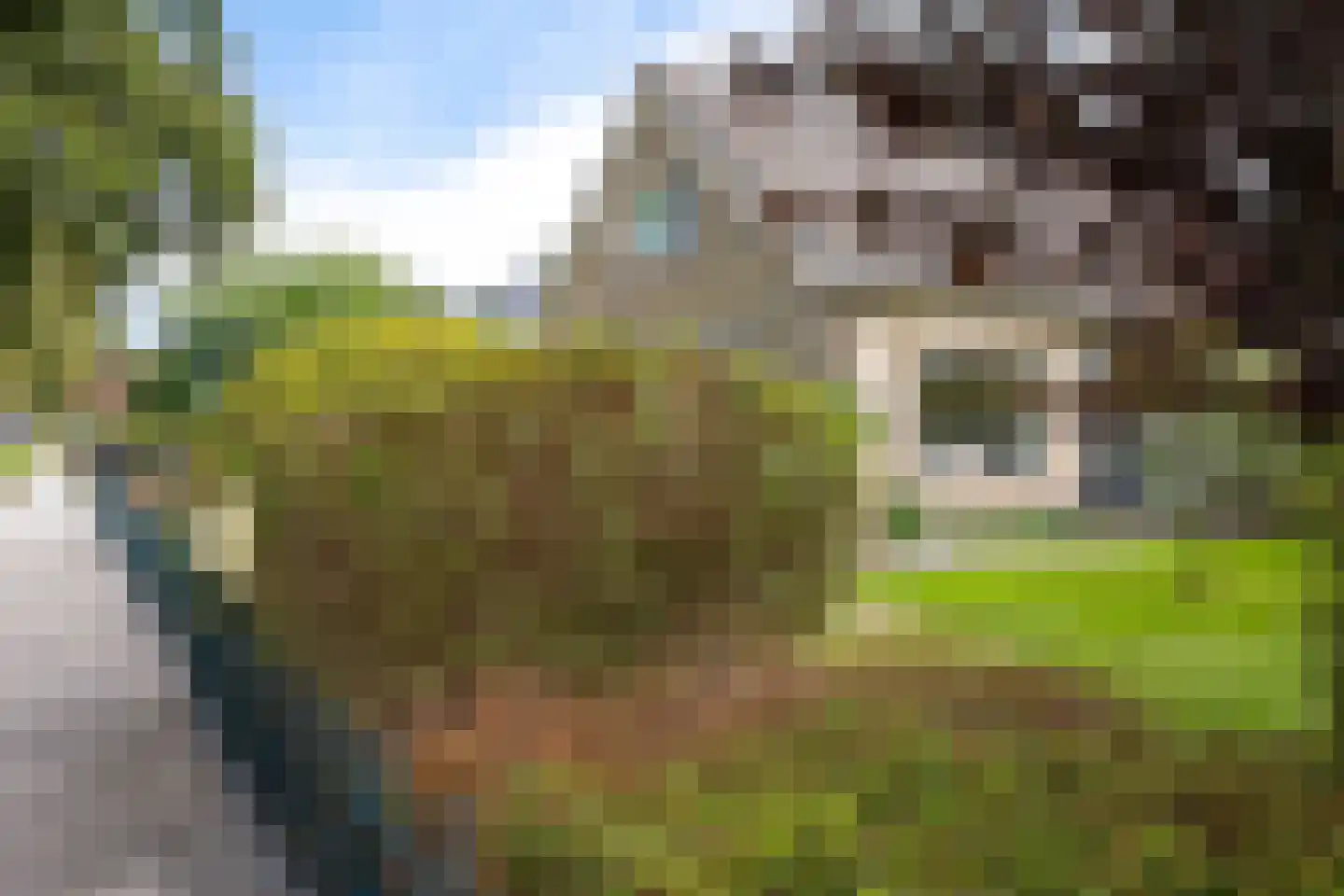Hearewei 51 Workum thumbnail 45