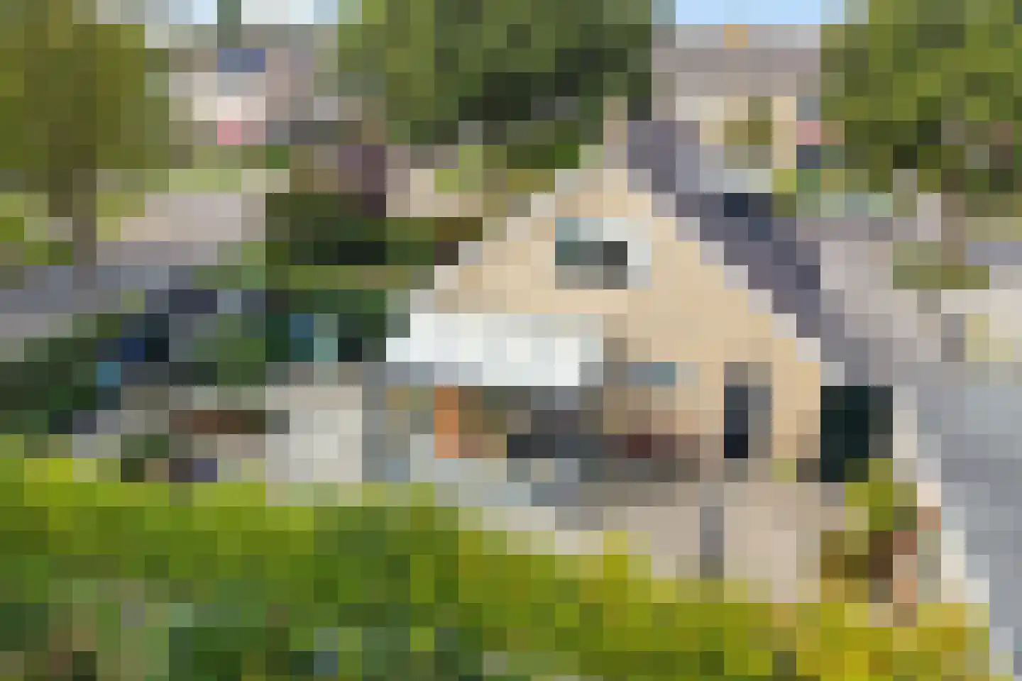 Hearewei 51 Workum thumbnail 47