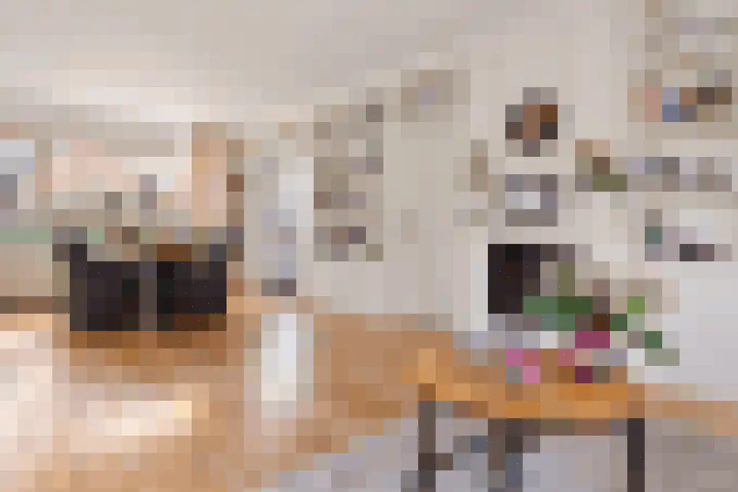 Hearewei 51 Workum thumbnail 5