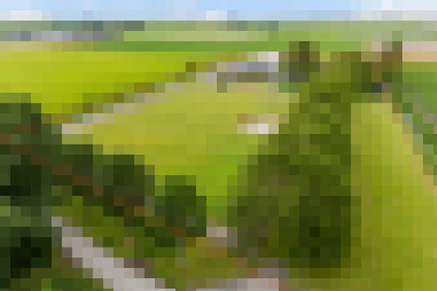 Hearewei 6 in Minnertsga