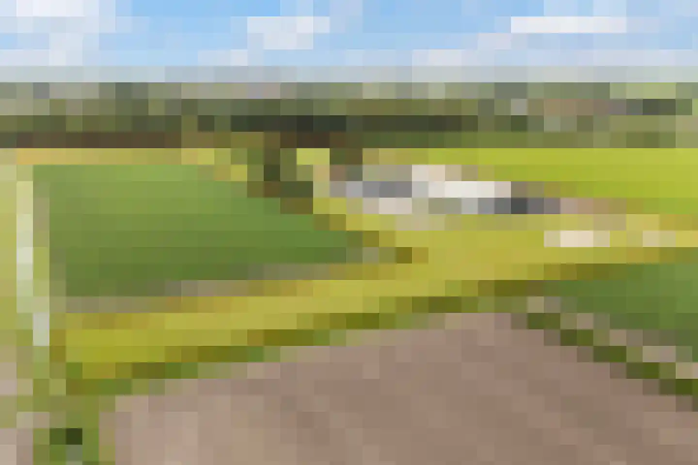 Hearewei 6 Minnertsga foto 2