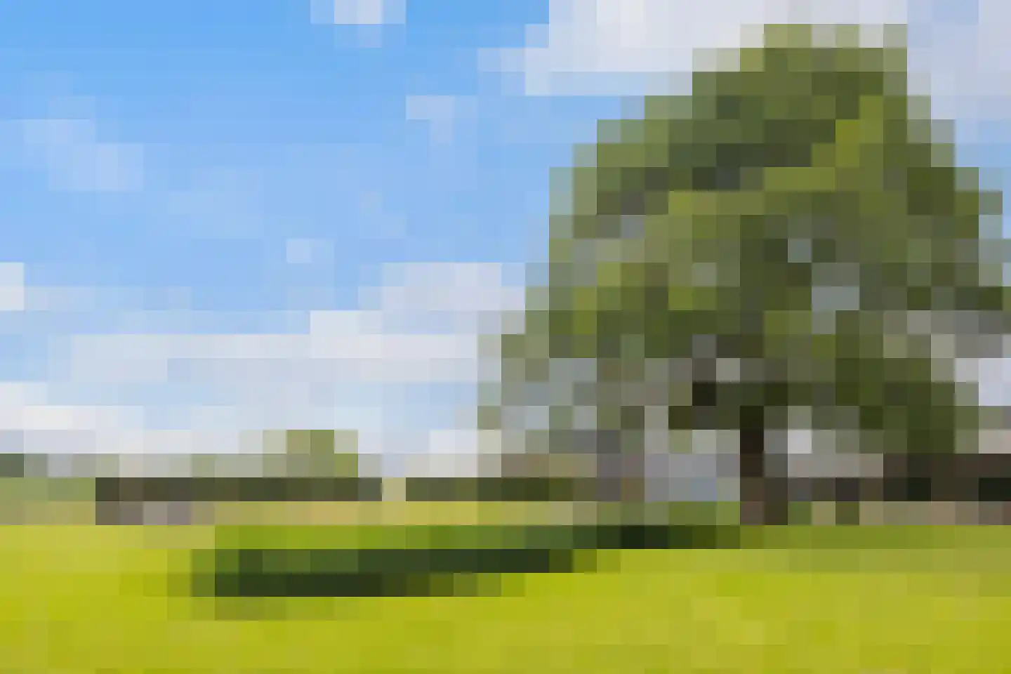 Hearewei 6 Minnertsga thumbnail 27