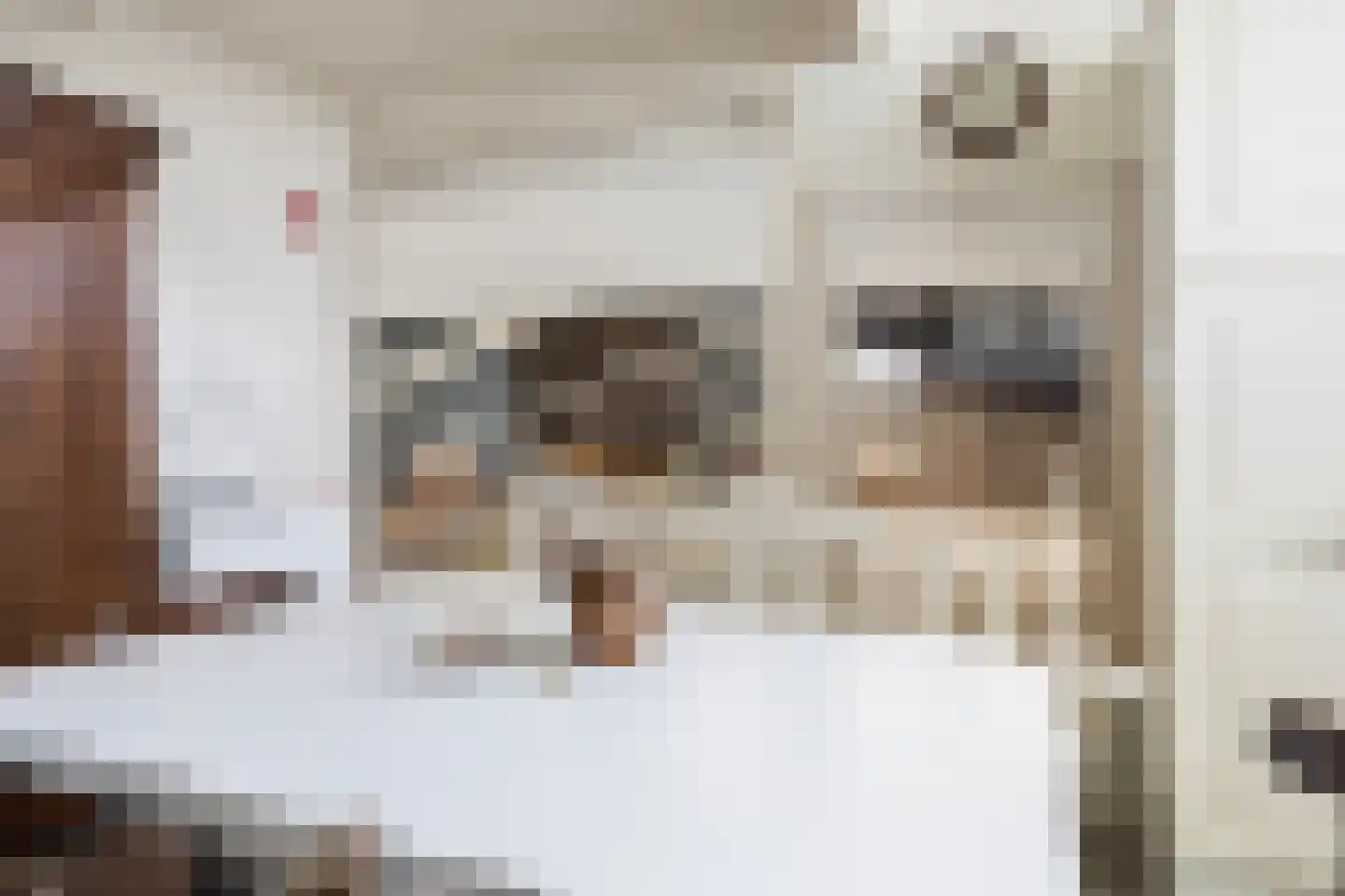 Hearewei 6 Minnertsga thumbnail 43