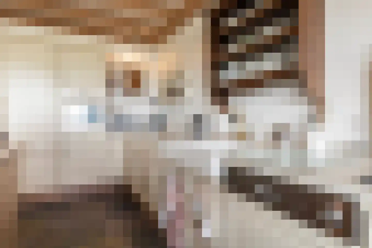 Hearewei 6 Minnertsga thumbnail 49