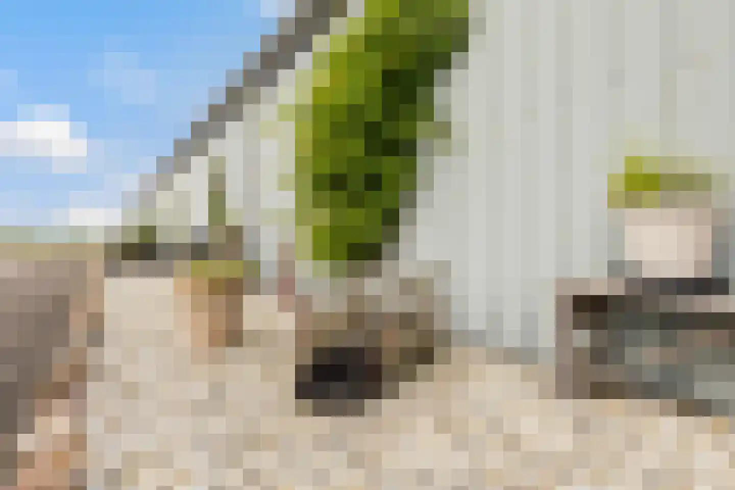 Hearewei 6 Minnertsga thumbnail 72