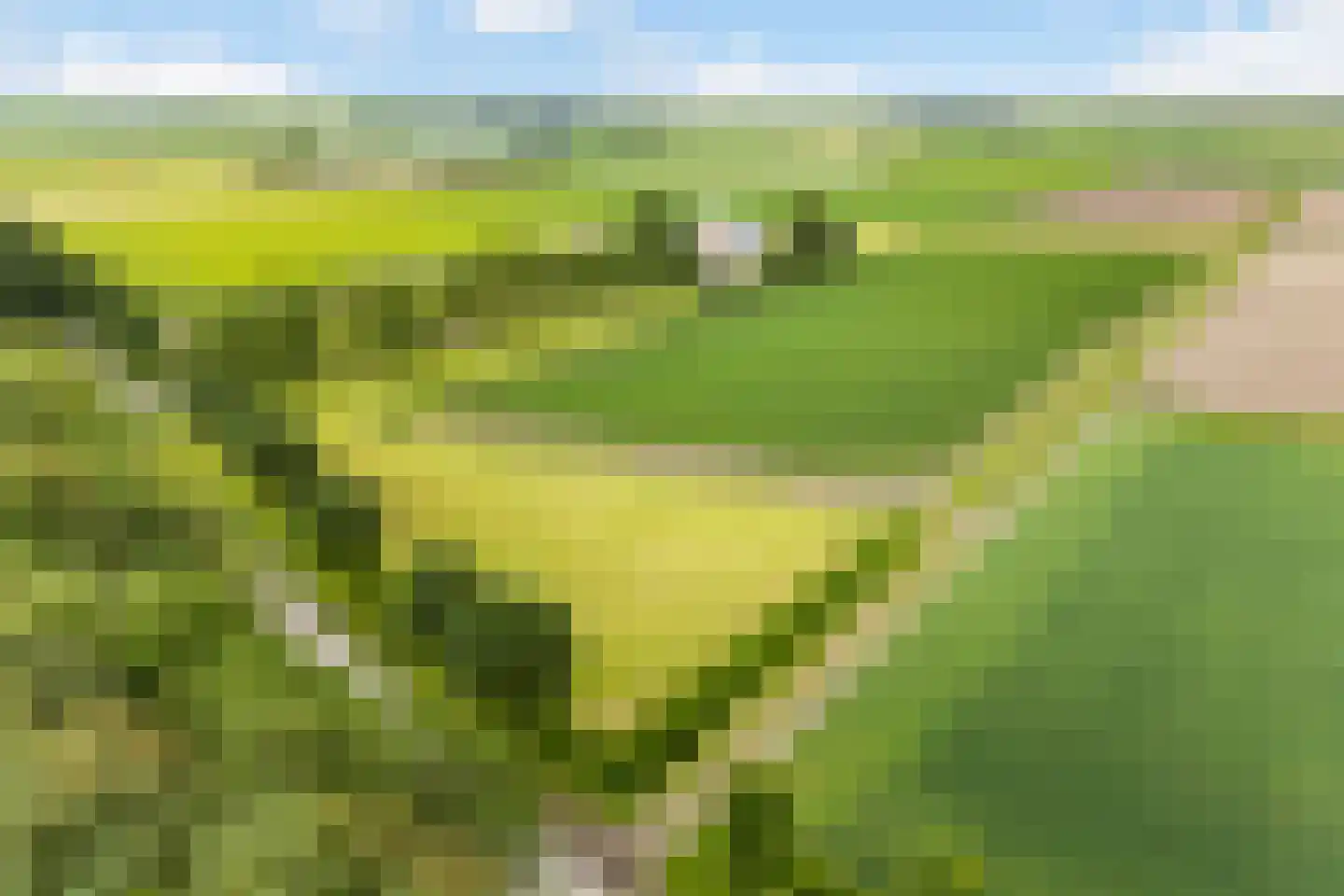 Hearewei 6 Minnertsga thumbnail 75