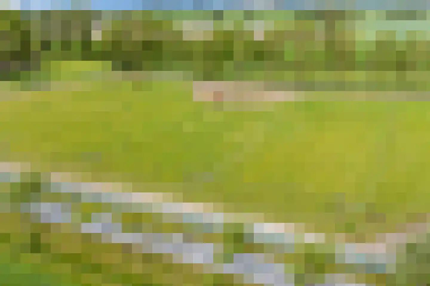 Hearewei 6 Minnertsga thumbnail 76