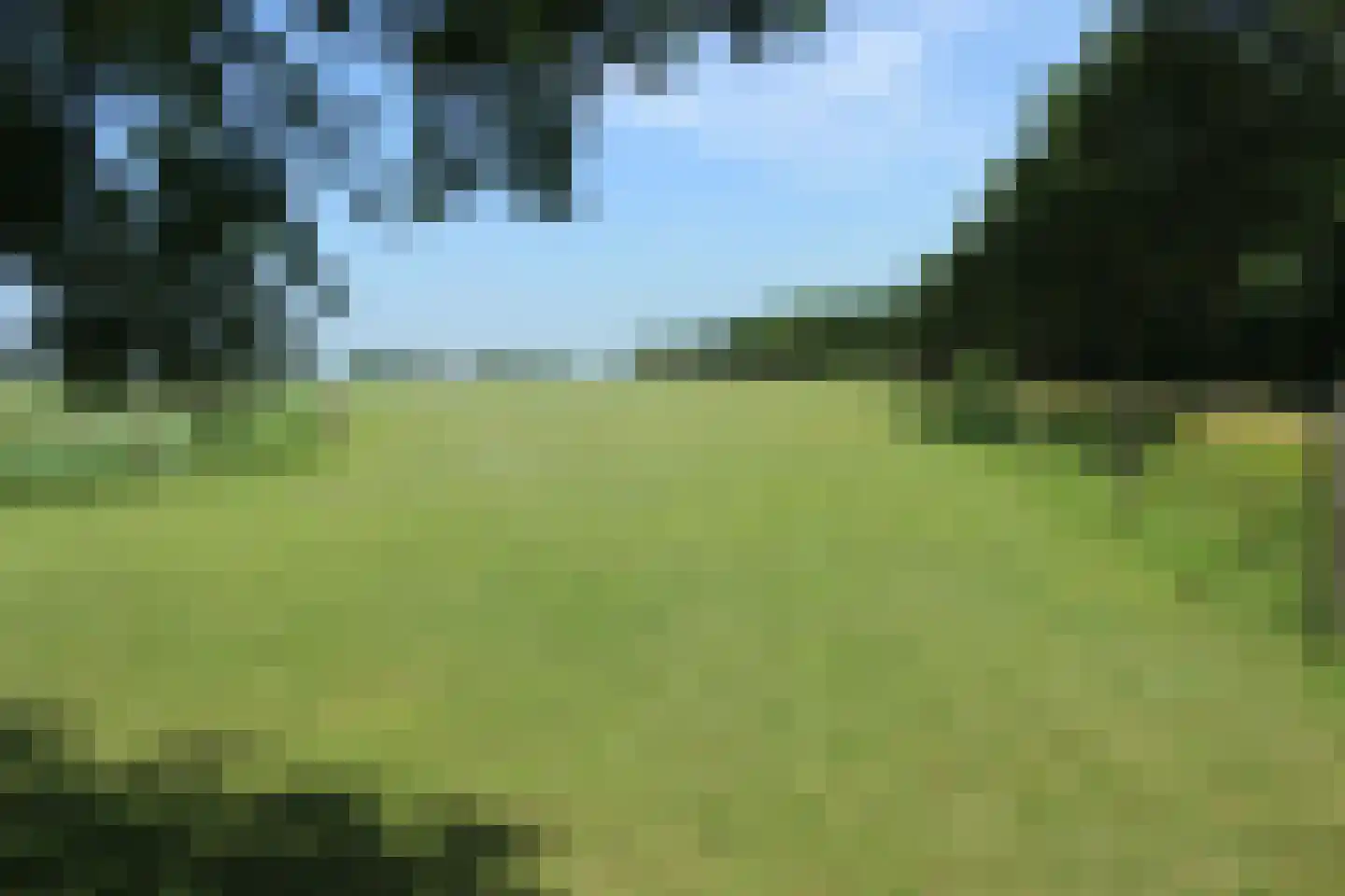 Hearewei 6 Minnertsga thumbnail 78