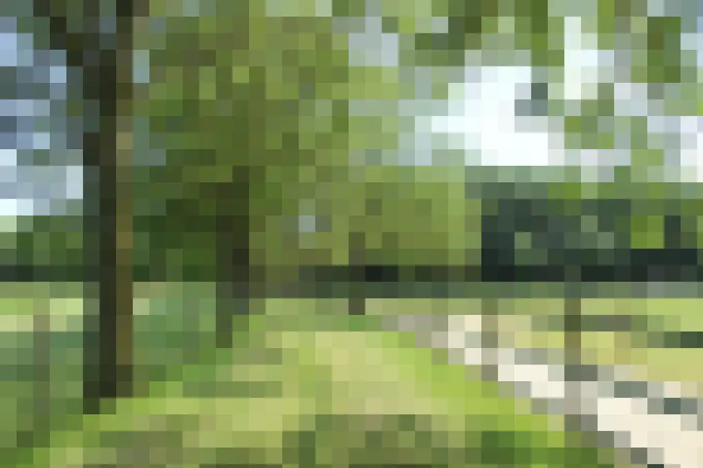 Hearewei 6 Minnertsga thumbnail 80