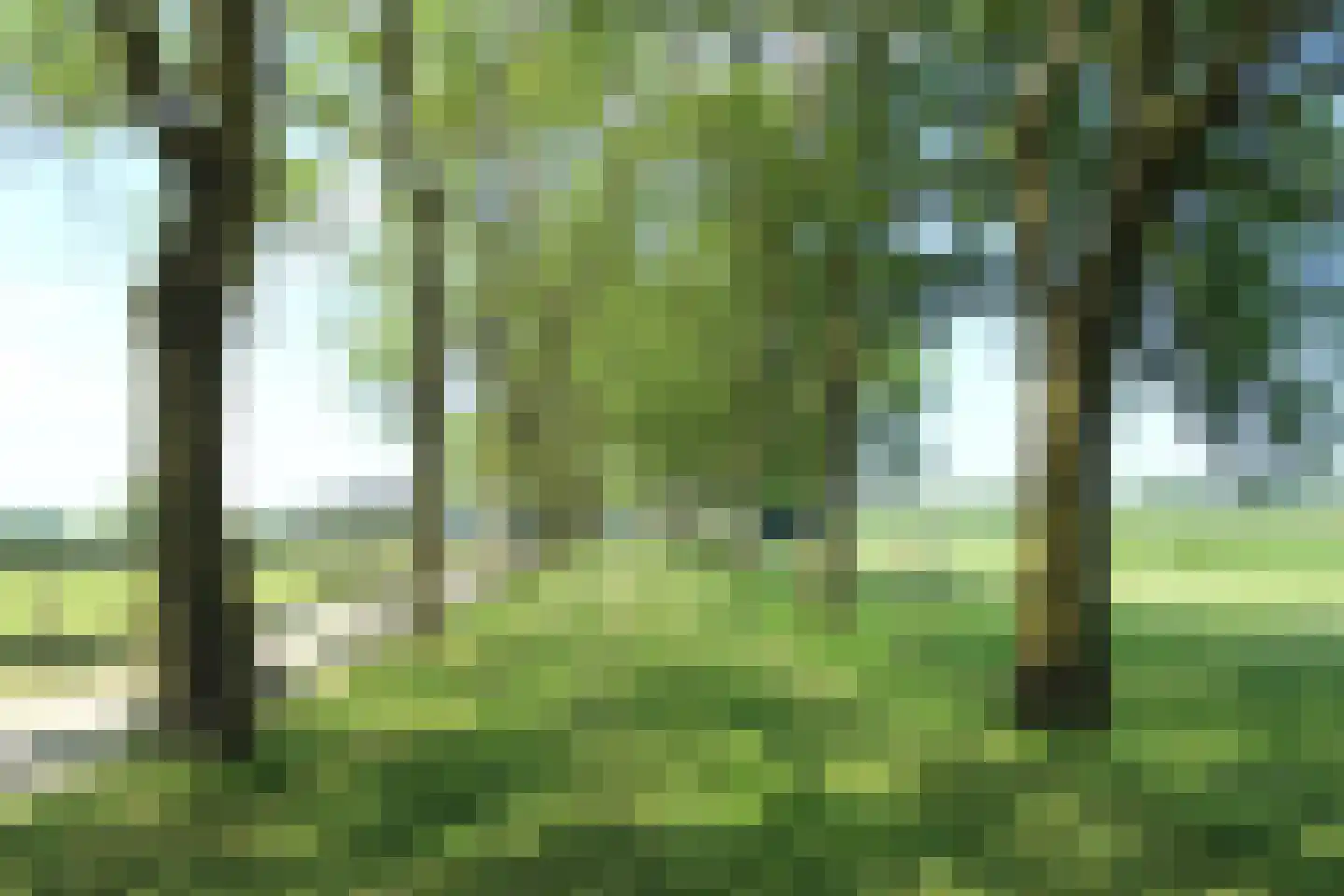 Hearewei 6 Minnertsga thumbnail 9
