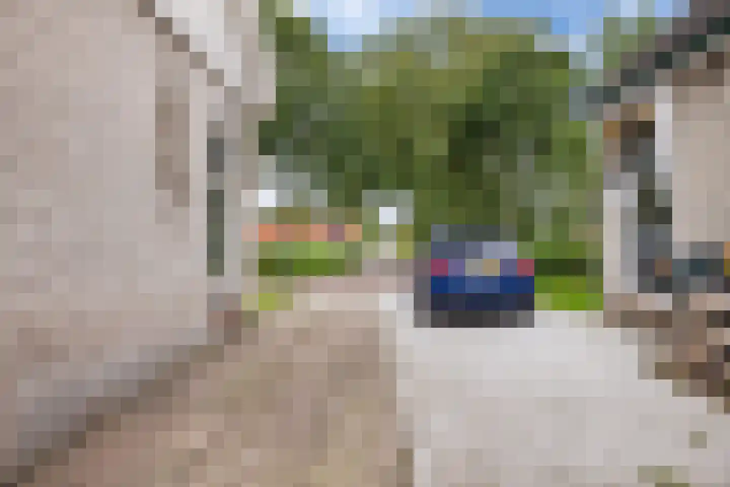 Hearewei 78 Dronryp thumbnail 34
