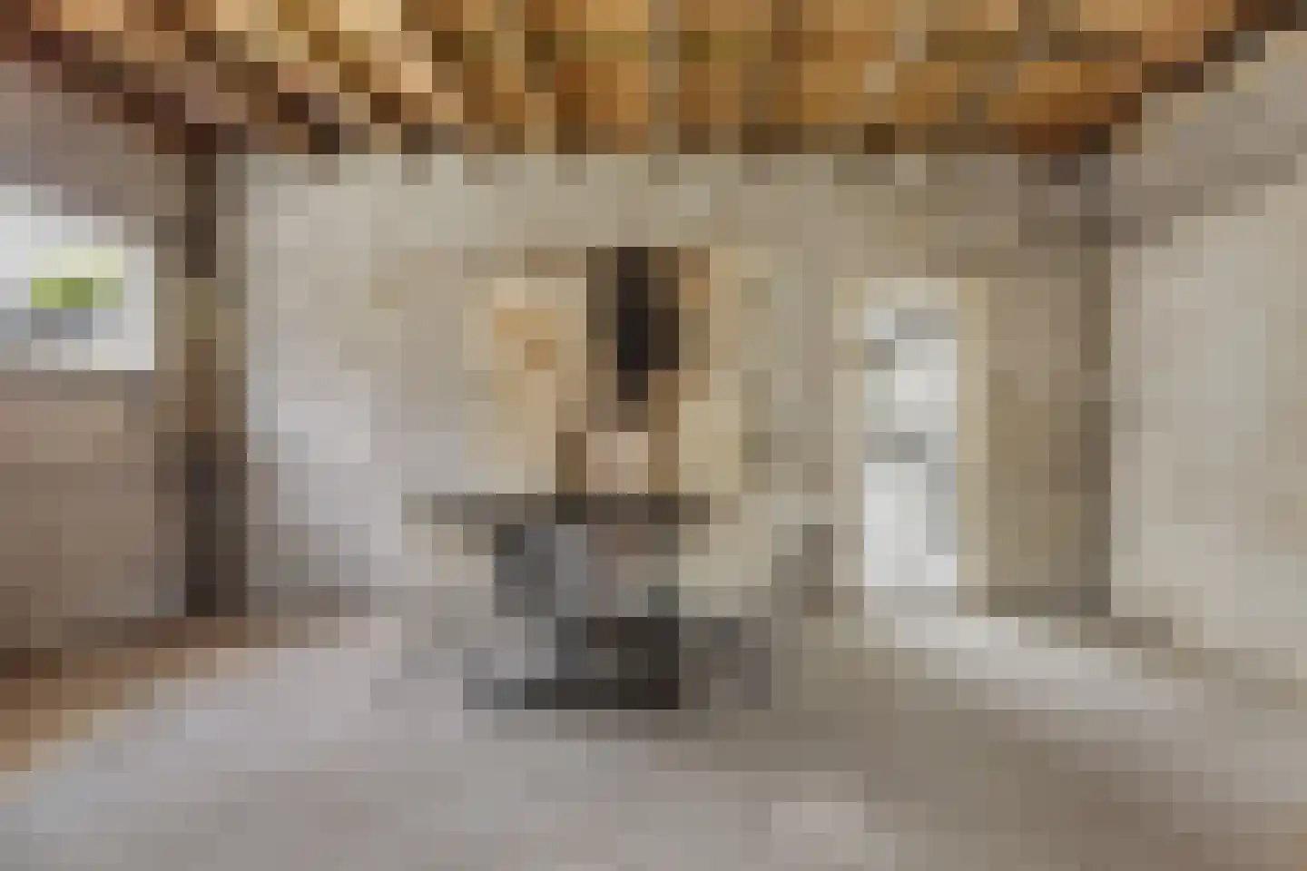 Hearewei 78 Dronryp thumbnail 5