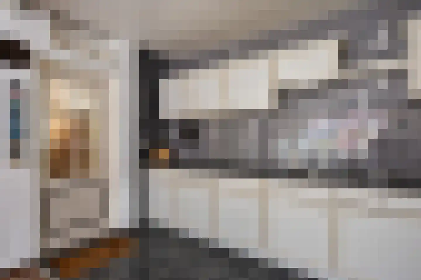 Hearsterwei 19 Frieschepalen thumbnail 10