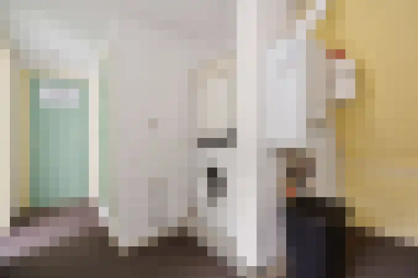 Hearsterwei 19 Frieschepalen thumbnail 22