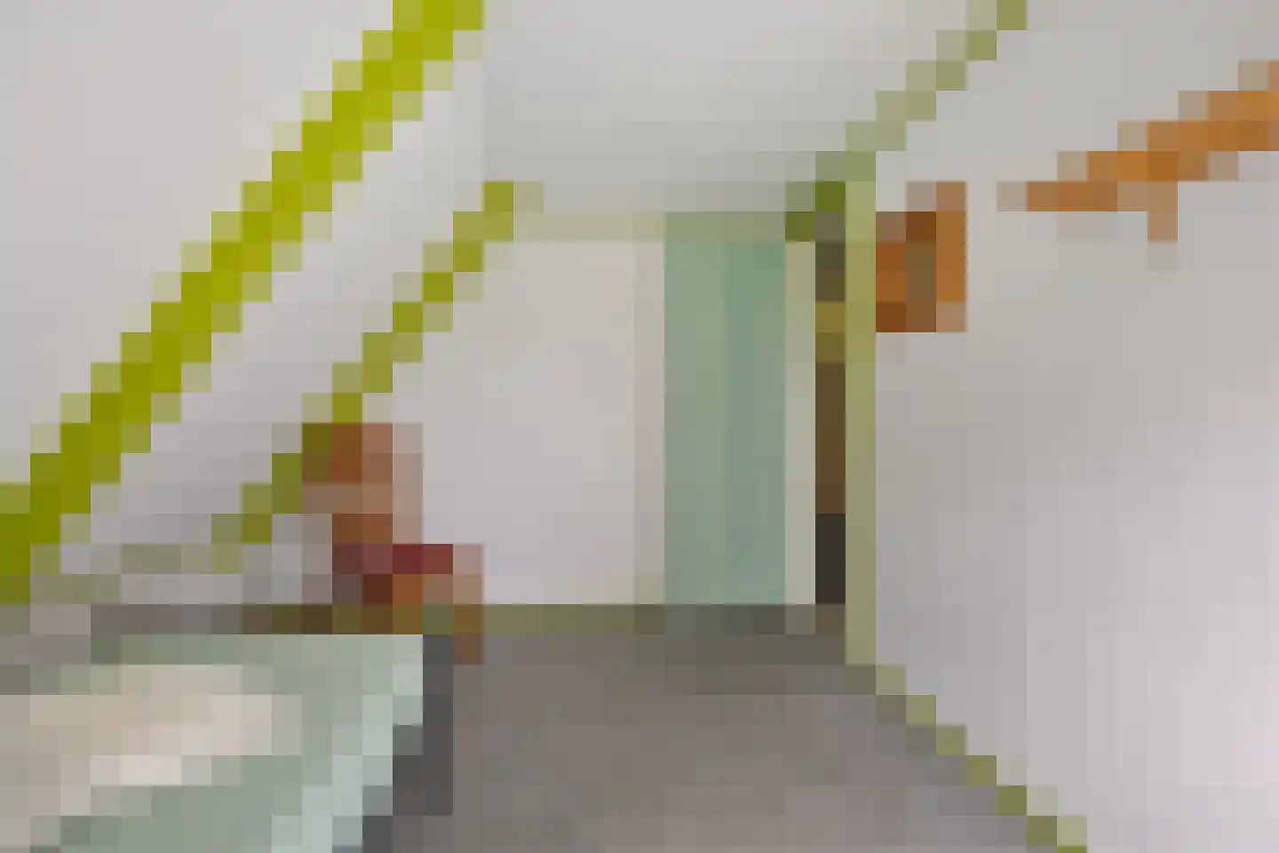 Hearsterwei 19 Frieschepalen thumbnail 24
